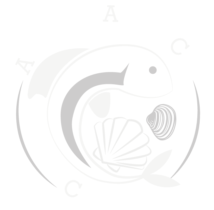 Logo AEC Blanc